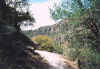 chir_01.jpg (70375 bytes)