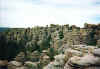 chir_09.jpg (46066 bytes)